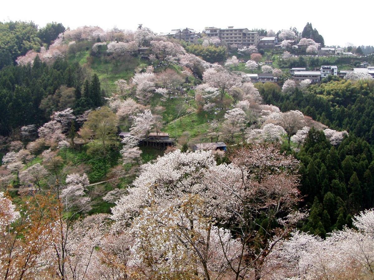 Hounkan Yoshino  Exterior photo